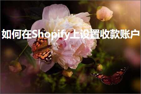 跨境电商知识:如何在Shopify上设置收款账户